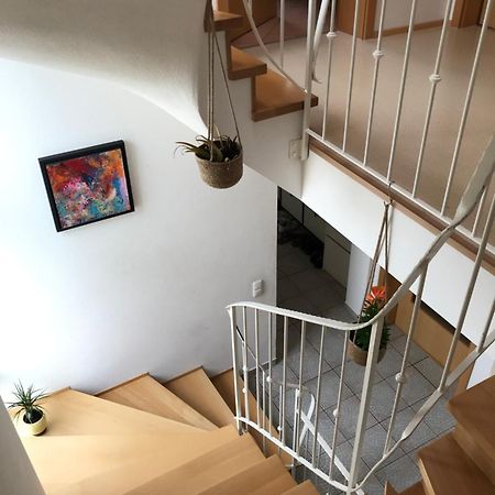 House With Castle View & Art Günzburg Exterior foto
